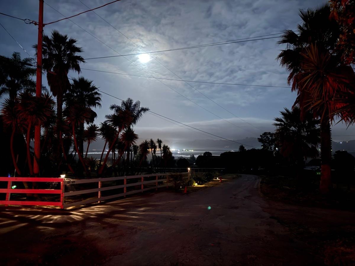 Full moon over palm trees and a quiet country road in Aromas before dawn