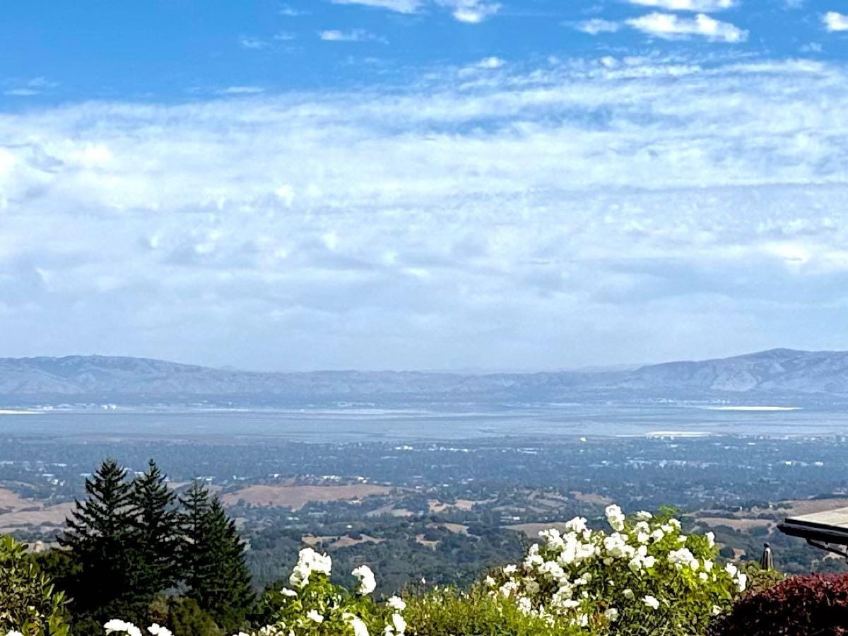 View from a hillside winery over white roses and trees toward the valley and distant hills under a blue sky