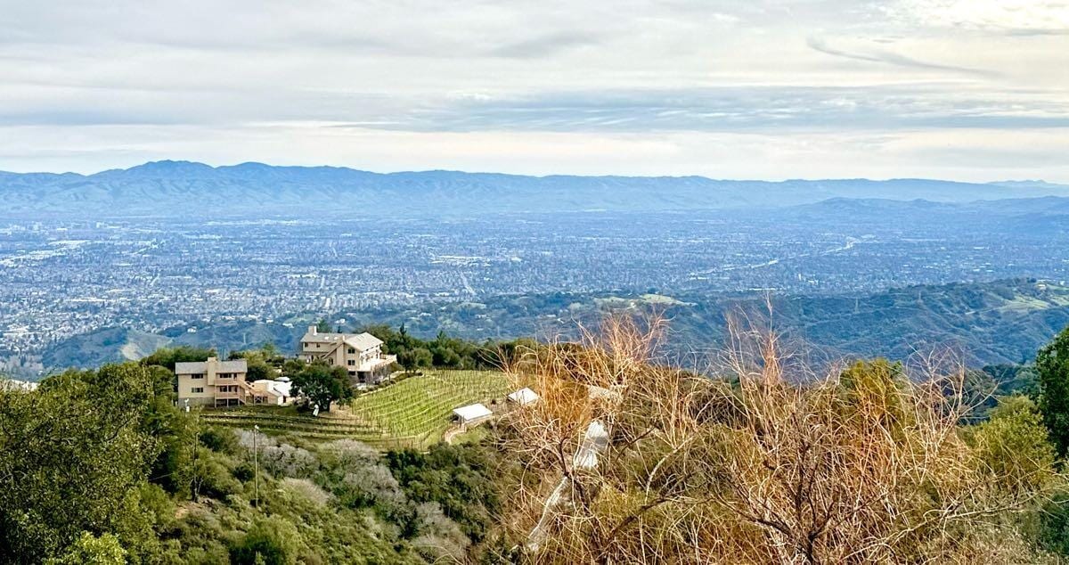 View from Ridge Vineyards on Montebello Road over terraced vines and the Santa Clara Valley